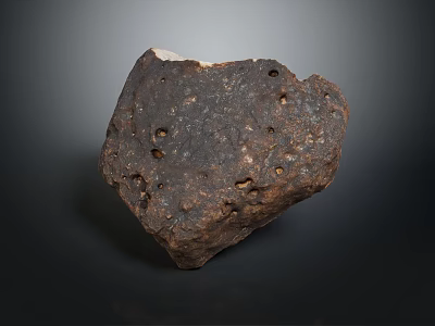 Natural Brown Wood Stone Block with Pitted Surface and Raw Organic Texture 3d model