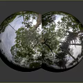Big Tree CG Tree Cartoon Tree Cartoon Tree CG Big Tree Cartoon Big Tree Cartoon Big Tree Plants 3d model