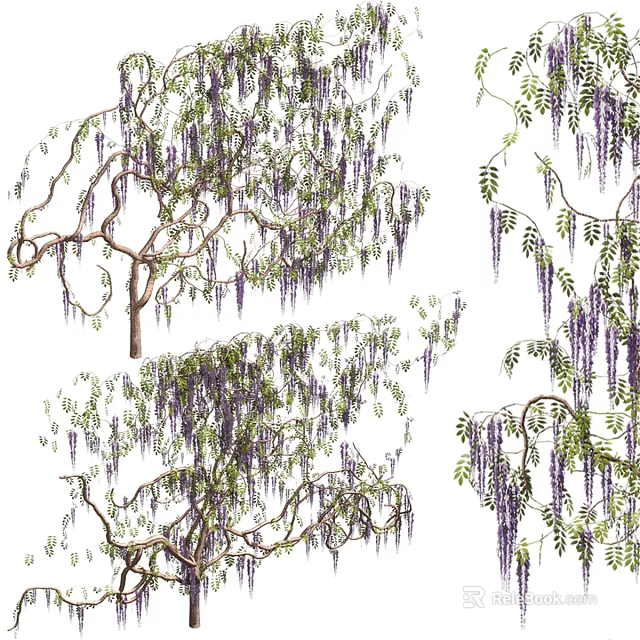 Wisteria Decorative Ornament Set Featuring Purple Flowers Green Leaves And Branches 3d model 