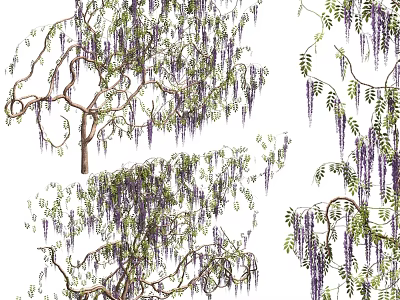 Wisteria Decorative Ornament Set Featuring Purple Flowers Green Leaves And Branches 3d model