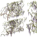 Wisteria Decorative Ornament Set Featuring Purple Flowers Green Leaves And Branches