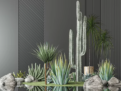 Potted Succulent Plants With Tall Cactus Aloe Vera And Decorative Rocks On Green Grassy Base 3d model