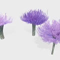 Cartoon Scene With Three Vibrant Purple Fluffy Flowers And Green Stems