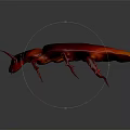 Red and black cockroach with long antennae on gray background in realistic lighting