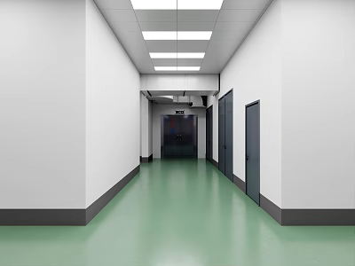 Office Hallway With White Walls Green Floor Ceiling Lights And Doors On Both Sides 3d model