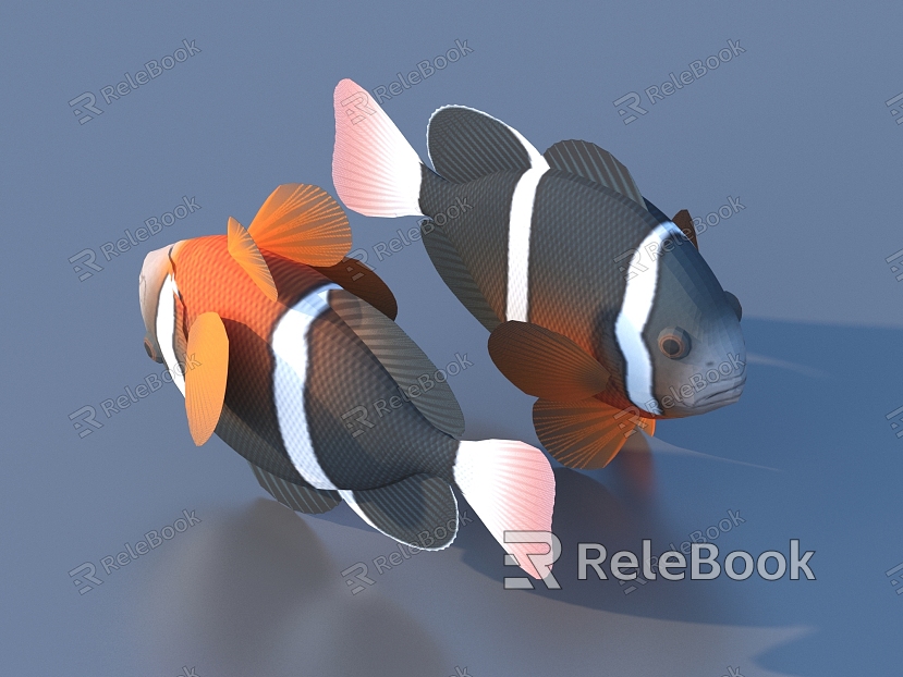 fish freshwater fish aquatic animal model