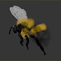 Bee Bee Hornet Peak Wasp Insect Animal Game Animal Cartoon Animal Animal 3d model