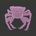 Realistic Crab With Detailed Textured Shell And Multiple Legs 3D Rendering 3d model