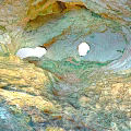 Cartoon Style Colorful Cave Interior With Round Holes And Textured Surfaces