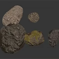 Wood and Stone Natural Decorative Pieces with Various Shapes and Textures