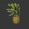 Fresh Yellow Pineapple with Green Leafy Top on Dark Background and Clear Reflection