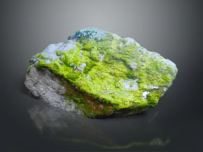 Natural Stone With Lush Green Moss Covering Its Textured Surface And Organic Details 3d model
