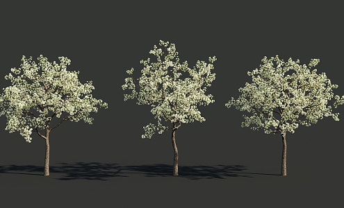 The Modern Tree 3d model