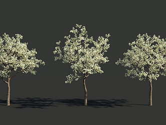 The Modern Tree 3d model