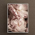 Detailed Botanical Painting Showcasing Vibrant Pink Peonies in Full Bloom