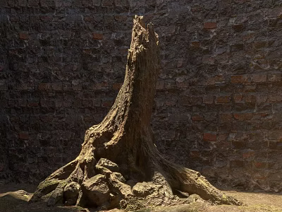 Natural Stone And Wooden Tree Stump With Roots Against Brick Wall 3d model