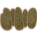 Green Plush Shaped Rugs with Irregular Design and Light Border for Home Decor 3d model