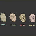 Medical Devices 3D Ear and Head Models with Different Triangle Meshes Detail Levels