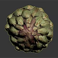 Fresh Whole Artichoke With Green Purple Bracts And Stem On Dark Background