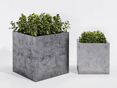 Lush Green Bonsai Potted Plants With Large And Small Concrete Planters 3d model