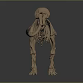 elephant skeleton elephant skeleton animal skeleton animal skeleton fossil animal skeleton fossil 3d model