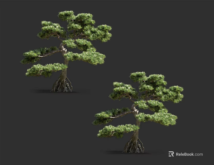 Lush Pine Trees With Exposed Roots And Green Foliage For Landscape Decoration 3d model 