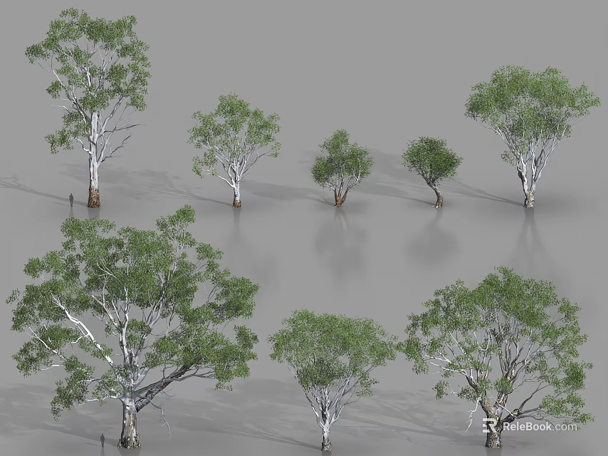 Diverse Arbor Varieties Showcasing Different Sizes And Foliage Forms 3d model