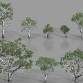 Diverse Arbor Varieties Showcasing Different Sizes And Foliage Forms 3d model