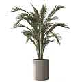 Modern Decorative Ornament Set with Various Potted Plants and Stylish Planters