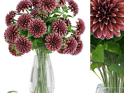 Ornamental Decorative Arrangement with Red Dahlia Flowers in Glass Vase 3d model