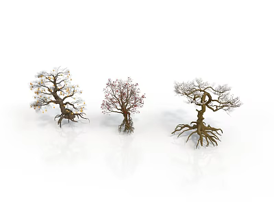 Three Decorative Trees With White Flowers Pink Blossoms Bare Branches And Exposed Roots Artistic 3d model