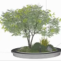 Round Concrete Flower Planter With Green Leaf Tree Small Plants And Stones