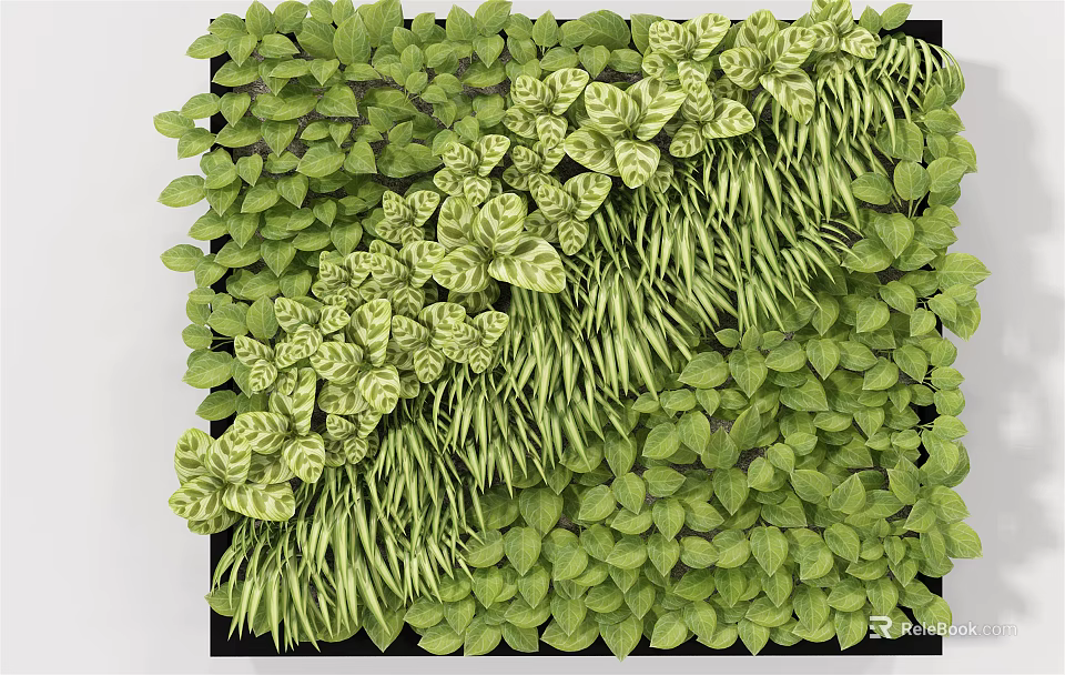 Green Plant Wall With Diverse Lush Leaves And Natural Vibrant Greenery 3d model 