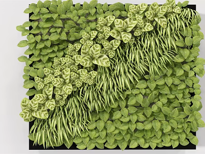 Green Plant Wall With Diverse Lush Leaves And Natural Vibrant Greenery 3d model