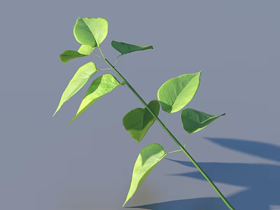 Fresh Green Plant Stem With Vibrant Leaves And Soft Shadow On Light Background 3d model