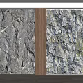 Natural Rock Texture Background Wall With Wooden Border And Small Green Plant