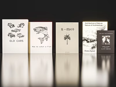 Collection of Theme Books Including Old Cars Fish Catching Village Nature and People Stories 3d model