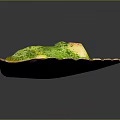 Creamy Yellow Savory Dish Served in Shell Shaped Plate Topped with Green Seasoning and White Chunks