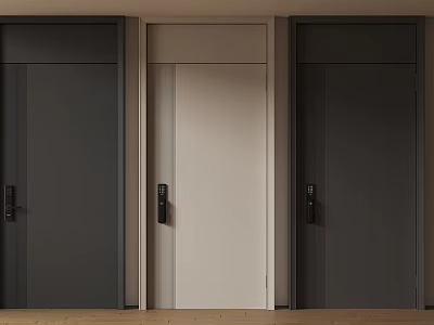 Double Door Design In Modern Home Interior With Different Colors Sleek Handles And Wooden Floor 3d model