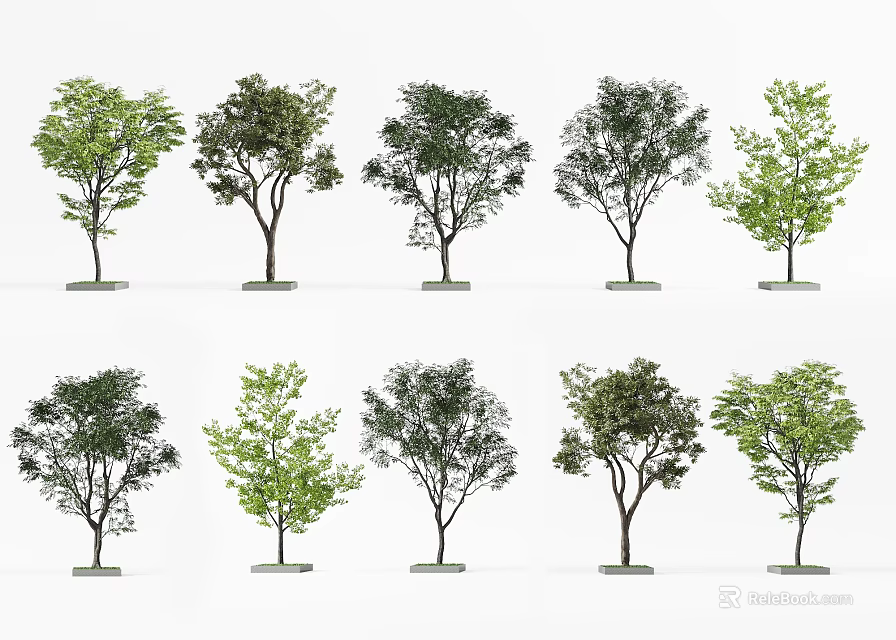 Tree Pit Landscaping With Different Green Tree Species For Urban Gardens 3d model