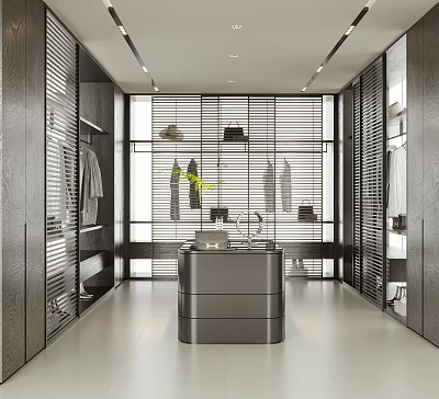 Modern Walk-in Closet Interior Design With Central Island Storage Cabinets And Hanging Rods 3d model