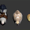 Three Colorful Flying Animals Adult And Baby Chickens With Fluffy Feathers