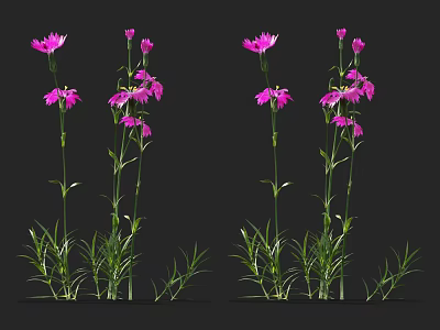 Vibrant Purple Flowers with Green Stems and Lush Leaves in Natural 3d model