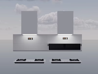 Modern Kitchen Appliances With Stainless Steel Range Hoods And Gas Stoves 3d model