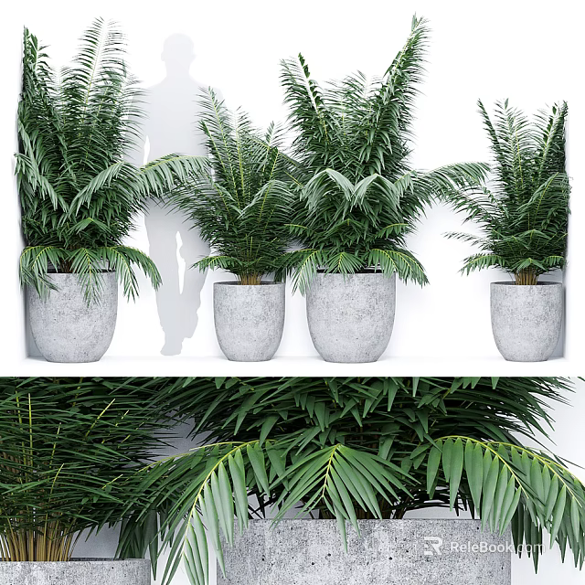 Lush Green Bonsai Potted Plants In Gray Ceramic Pots For Indoor Decor 3d model 