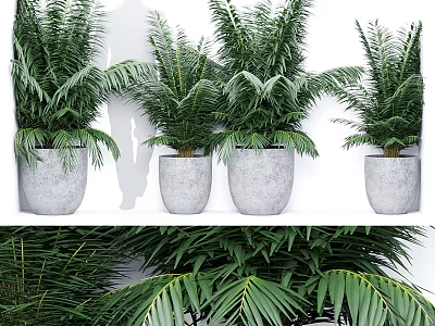 Lush Green Bonsai Potted Plants In Gray Ceramic Pots For Indoor Decor 3d model