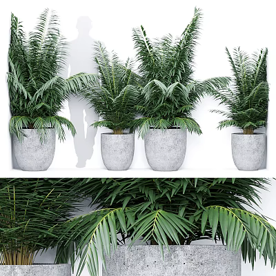 potted plant 3d model