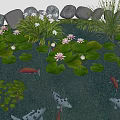 Vibrant Water Lilies in Pond with Green Lily Pads and Koi Fish