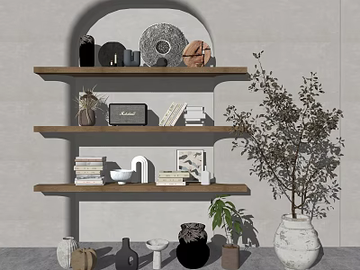 Decorative Ornaments Set on Wooden Shelves with Round Plate Vases Frames Books and Green Plant 3d model