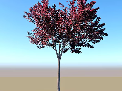 Red Leaf Tree with Vibrant Foliage against Clear Blue Sky and Light Ground 3d model